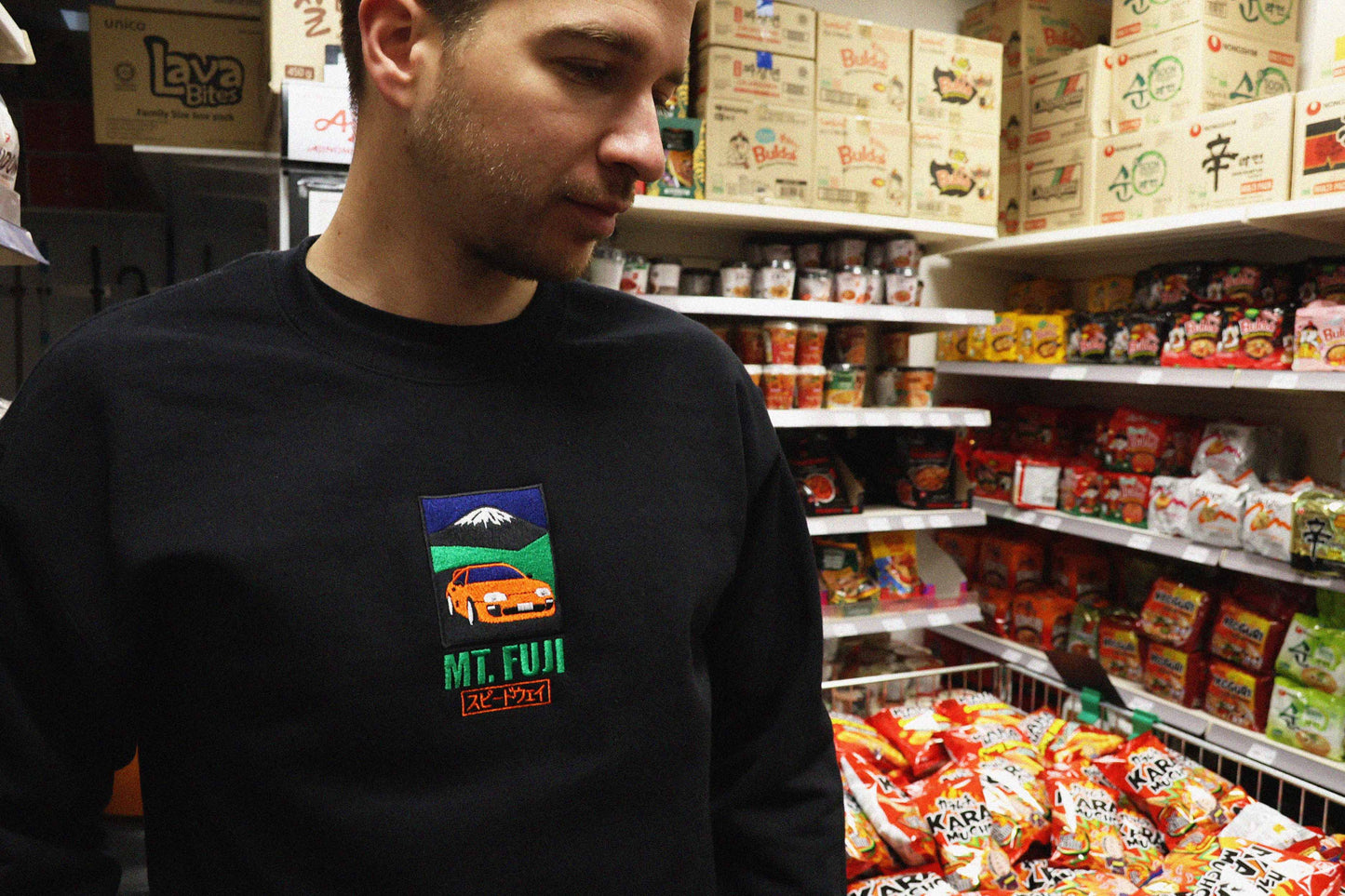 Mt. Fuji Basic Crewneck